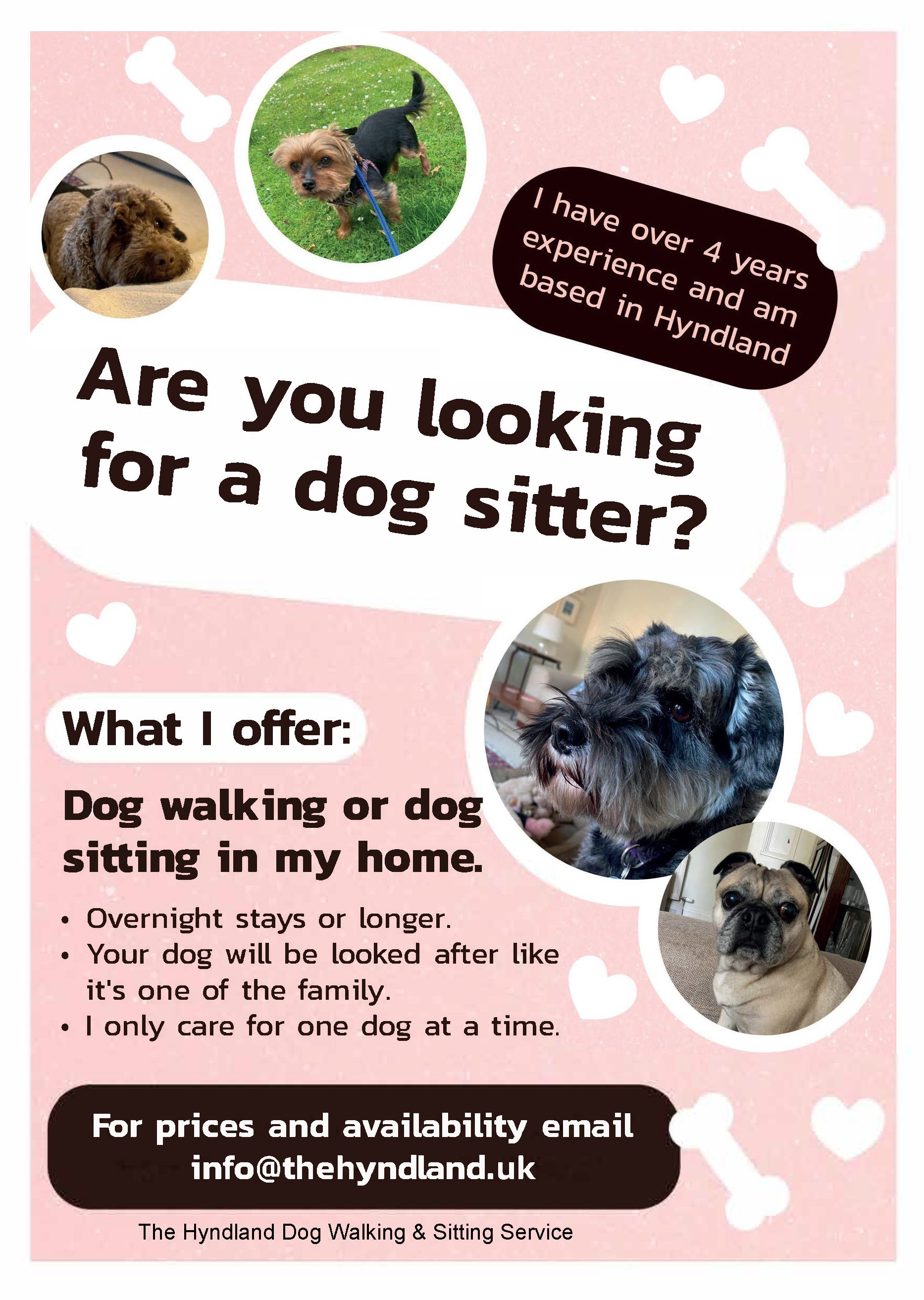 The Hyndland Do Walking & Sitting Service